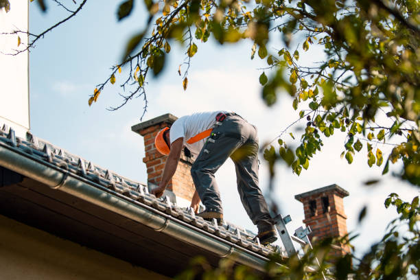 Best Roof Leak Repair  in Rimersburg, PA